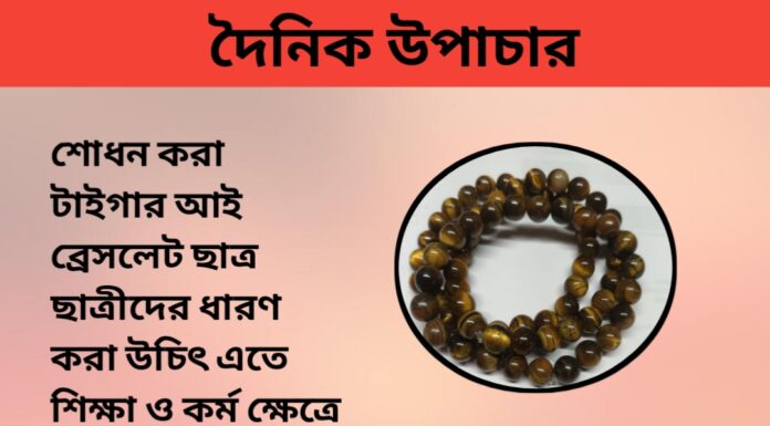 দৈনিক উপাচার : ৩ ফেব্রুয়ারী ২০২৪ – জয় মা মুক্তেস্বরী