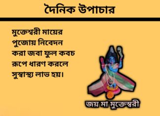 দৈনিক উপাচার : ১০ ফেব্রুয়ারী ২০২৪ – জয় মা মুক্তেস্বরী