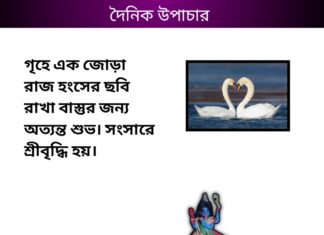 দৈনিক উপাচার : ১৪ ফেব্রুয়ারী ২০২৪ – জয় মা মুক্তেস্বরী