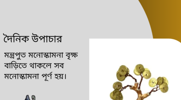 দৈনিক উপাচার : ১৮ ফেব্রুয়ারী ২০২৪ – জয় মা মুক্তেস্বরী