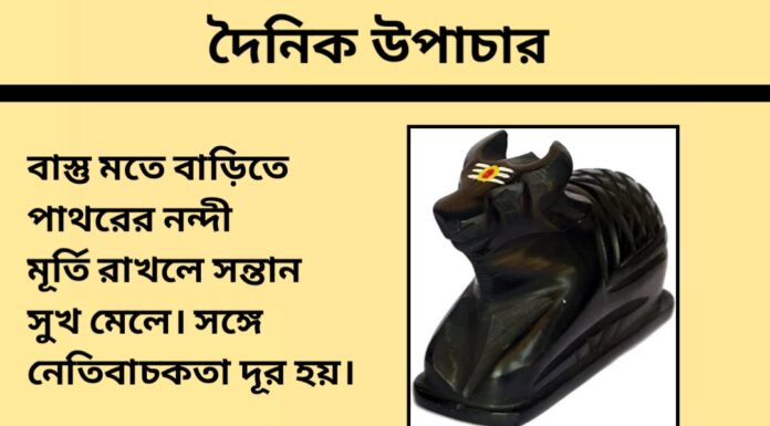 দৈনিক উপাচার : ২৬ ফেব্রুয়ারী ২০২৪ – জয় মা মুক্তেস্বরী