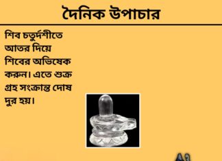 দৈনিক উপাচার : ৮ ই মার্চ ২০২৪ – জয় মা মুক্তেস্বরী