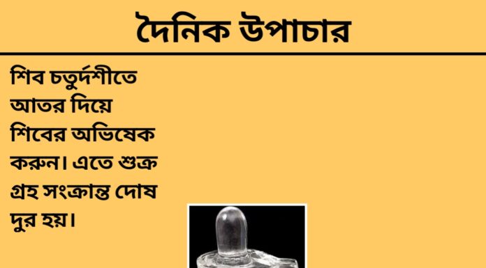 দৈনিক উপাচার : ৮ ই মার্চ ২০২৪ – জয় মা মুক্তেস্বরী
