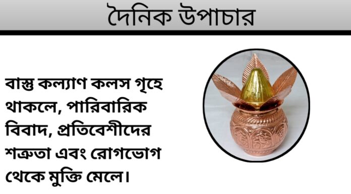 দৈনিক উপাচার : ৯ ই মার্চ ২০২৪ – জয় মা মুক্তেস্বরী