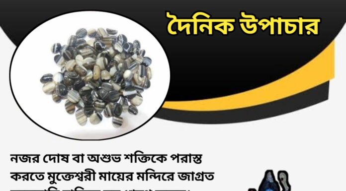 দৈনিক উপাচার : ১৯ ই মার্চ ২০২৪ – জয় মা মুক্তেস্বরী