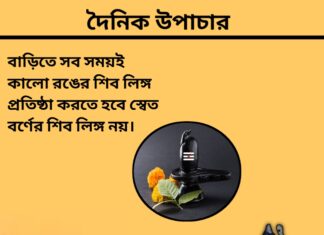 দৈনিক উপাচার : ২১ এ মার্চ ২০২৪ – জয় মা মুক্তেস্বরী