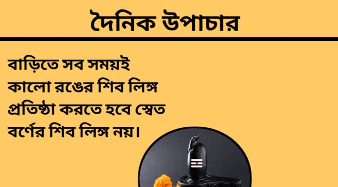 দৈনিক উপাচার : ২১ এ মার্চ ২০২৪ – জয় মা মুক্তেস্বরী