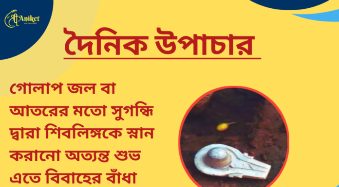 দৈনিক উপাচার : ৩০ মার্চ ২০২৪ – জয় মা মুক্তেস্বরী
