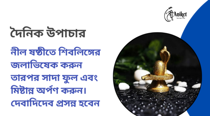 দৈনিক উপাচার : ১১ এপ্রিল ২০২৪ – জয় মা মুক্তেস্বরী