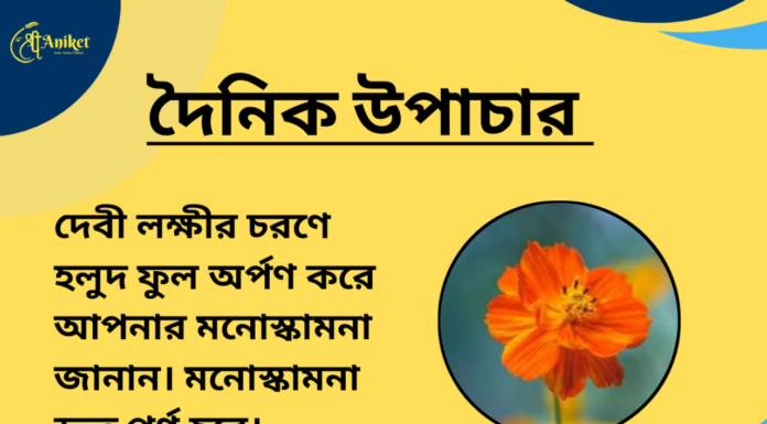 দৈনিক উপাচার : ১৯ এপ্রিল ২০২৪ – জয় মা মুক্তেস্বরী