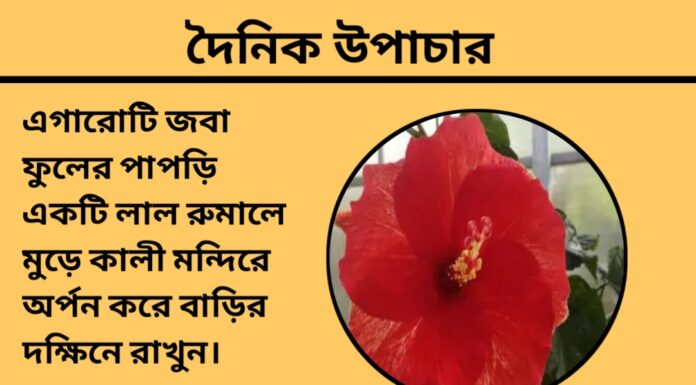 দৈনিক উপাচার : ২৬ এপ্রিল ২০২৪ – জয় মা মুক্তেস্বরী