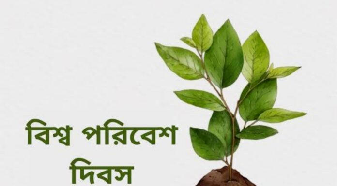 বিশ্ব পরিবেশ দিবস