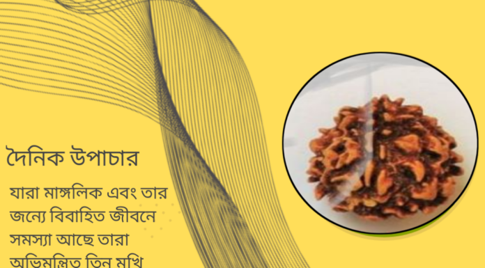 দৈনিক উপাচার : ১১ জুন ২০২৪ – জয় মা মুক্তেস্বরী