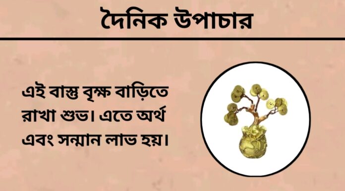 দৈনিক উপাচার : ১৬ জুন ২০২৪ – জয় মা মুক্তেস্বরী