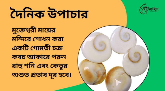 দৈনিক উপাচার : ২ জুলাই জুন ২০২৪ – জয় মা মুক্তেস্বরী