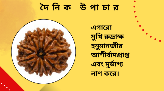 দৈনিক উপাচার : ১১ জুলাই ২০২৪ – জয় মা মুক্তেস্বরী