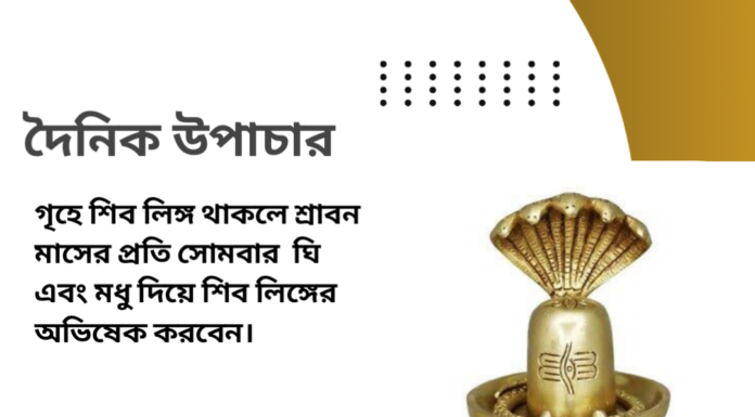 দৈনিক উপাচার : ১৬ জুলাই ২০২৪ – জয় মা মুক্তেস্বরী