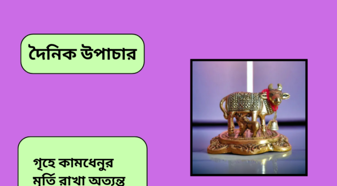 দৈনিক উপাচার : ৩০ জুলাই ২০২৪ – জয় মা মুক্তেস্বরী