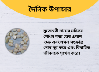 দৈনিক উপাচার : ৩ রা আগস্ট ২০২৪ – জয় মা মুক্তেস্বরী