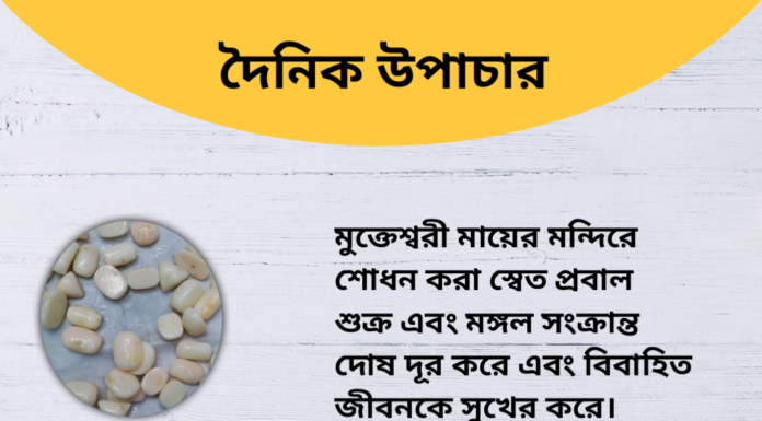 দৈনিক উপাচার : ৩ রা আগস্ট ২০২৪ – জয় মা মুক্তেস্বরী