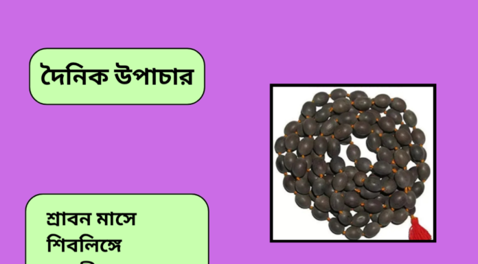 দৈনিক উপাচার : ৬ আগস্ট ২০২৪ – জয় মা মুক্তেস্বরী