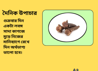 দৈনিক উপাচার : ৭ আগস্ট ২০২৪ – জয় মা মুক্তেস্বরী