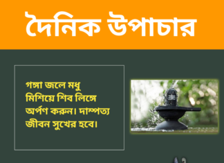 দৈনিক উপাচার : ১১ আগস্ট ২০২৪ – জয় মা মুক্তেস্বরী