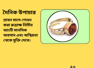 দৈনিক উপাচার : ১২ আগস্ট ২০২৪ – জয় মা মুক্তেস্বরী
