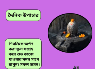 দৈনিক উপাচার : ১৪ আগস্ট ২০২৪ – জয় মা মুক্তেস্বরী