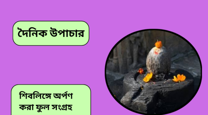 দৈনিক উপাচার : ১৪ আগস্ট ২০২৪ – জয় মা মুক্তেস্বরী