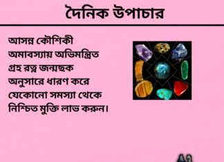 দৈনিক উপাচার : ২৭ আগস্ট ২০২৪ – জয় মা মুক্তেস্বরী