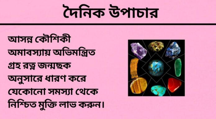 দৈনিক উপাচার : ২৭ আগস্ট ২০২৪ – জয় মা মুক্তেস্বরী
