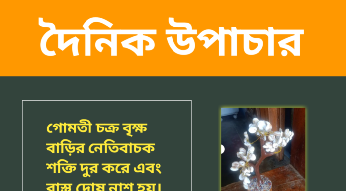 দৈনিক উপাচার : ৩ সেপ্টেম্বর ২০২৪ – জয় মা মুক্তেস্বরী