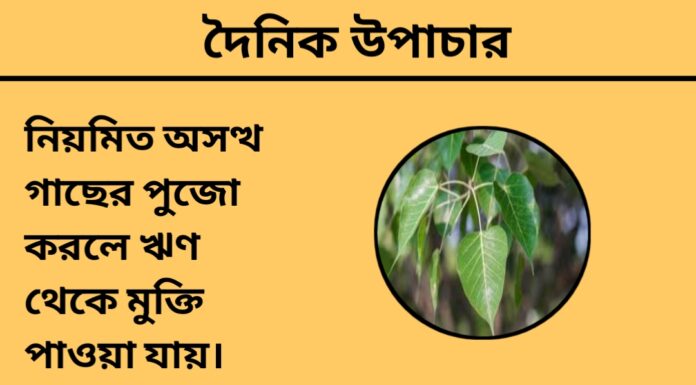 দৈনিক উপাচার : ২১ সেপ্টেম্বর ২০২৪ – জয় মা মুক্তেস্বরী