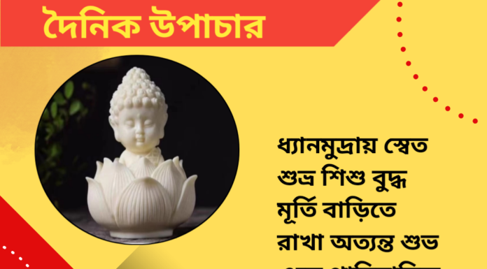 দৈনিক উপাচার : ১৩ অক্টোবর ২০২৪ – জয় মা মুক্তেস্বরী