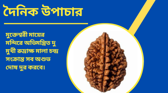 দৈনিক উপাচার : ১৯ অক্টোবর ২০২৪ – জয় মা মুক্তেস্বরী