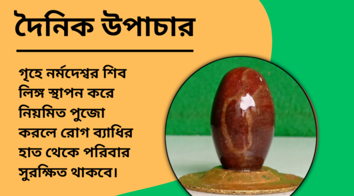 দৈনিক উপাচার : ২৫ অক্টোবর ২০২৪ – জয় মা মুক্তেস্বরী