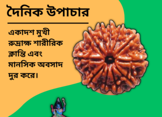 দৈনিক উপাচার : ২ নভেম্বর ২০২৪ – জয় মা মুক্তেস্বরী