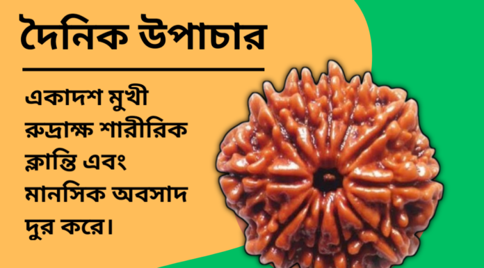 দৈনিক উপাচার : ২ নভেম্বর ২০২৪ – জয় মা মুক্তেস্বরী