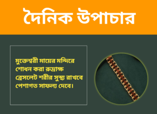 দৈনিক উপাচার : ৫ নভেম্বর ২০২৪ – জয় মা মুক্তেস্বরী