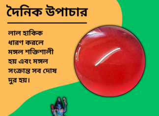 দৈনিক উপাচার : ৯ নভেম্বর ২০২৪ – জয় মা মুক্তেস্বরী