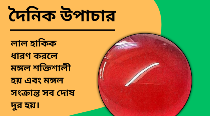 দৈনিক উপাচার : ৯ নভেম্বর ২০২৪ – জয় মা মুক্তেস্বরী