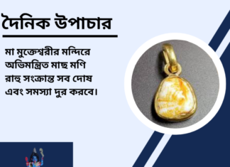 দৈনিক উপাচার : ১১ নভেম্বর ২০২৪ – জয় মা মুক্তেস্বরী