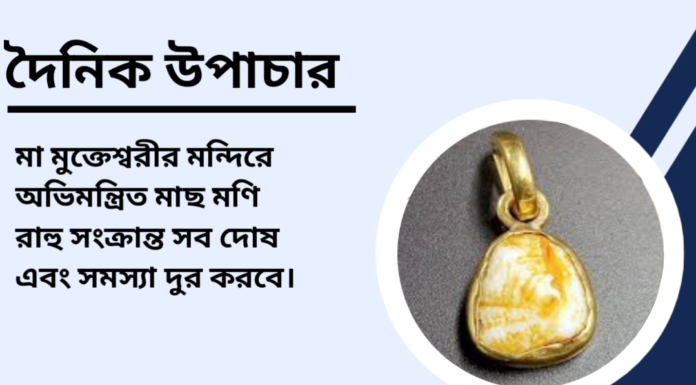 দৈনিক উপাচার : ১১ নভেম্বর ২০২৪ – জয় মা মুক্তেস্বরী