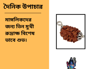 দৈনিক উপাচার : ১৩ নভেম্বর ২০২৪ – জয় মা মুক্তেস্বরী