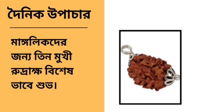 দৈনিক উপাচার : ১৩ নভেম্বর ২০২৪ – জয় মা মুক্তেস্বরী