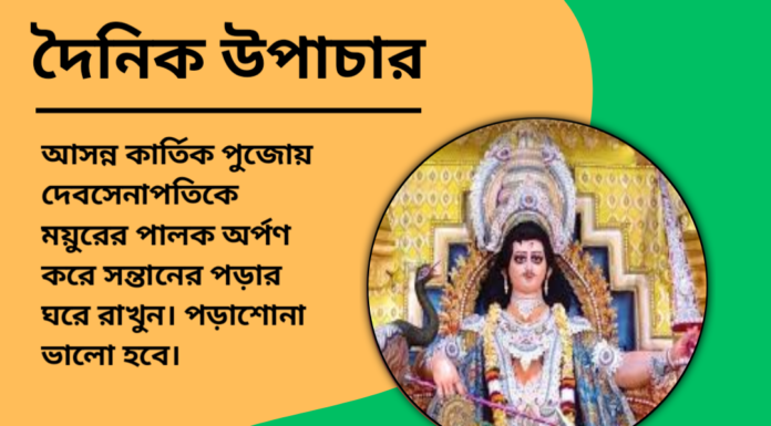 দৈনিক উপাচার : ১৪ নভেম্বর ২০২৪ – জয় মা মুক্তেস্বরী