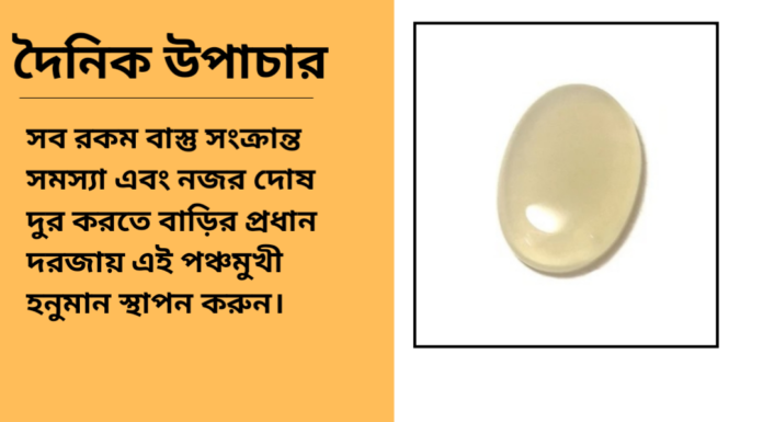 দৈনিক উপাচার : ২০ নভেম্বর ২০২৪ – জয় মা মুক্তেস্বরী