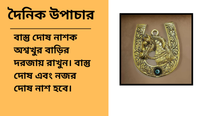 দৈনিক উপাচার : ২৯ নভেম্বর ২০২৪ – জয় মা মুক্তেস্বরী