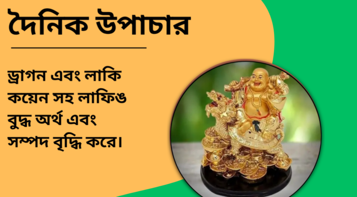 দৈনিক উপাচার : ৬ ডিসেম্বর ২০২৪ – জয় মা মুক্তেস্বরী